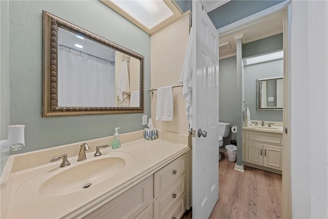 bathroom with vanity, toilet, and wood-type flooring