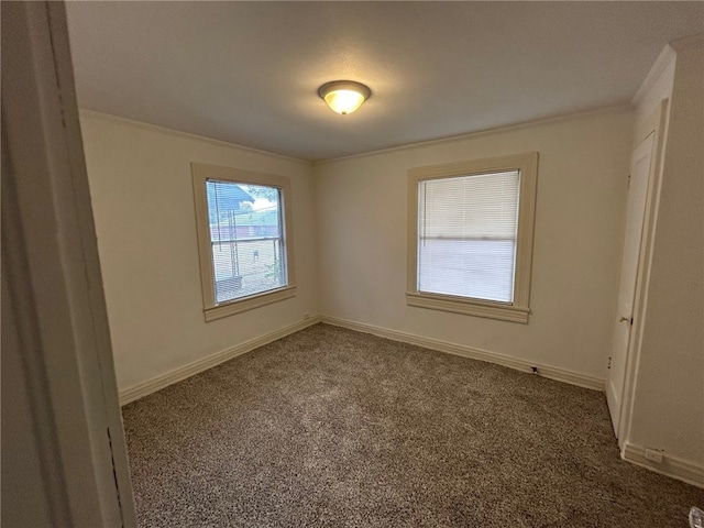 empty room featuring carpet floors