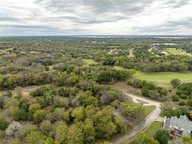 39083 Springwillow Ct, Whitney TX, 76692 land for sale