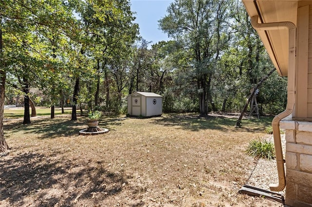 view of yard with a storage shed