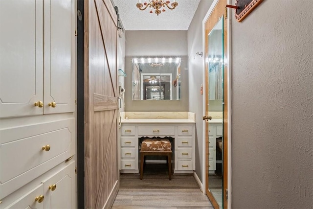 bathroom featuring vanity, wood-type flooring, and a textured ceiling