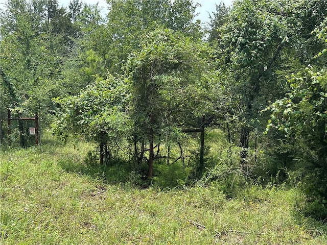 Listing photo 3 for TRACT1 Lcr 701, Kosse TX 76653