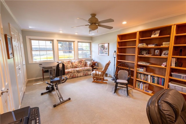 exercise area featuring crown molding, ceiling fan, and light carpet