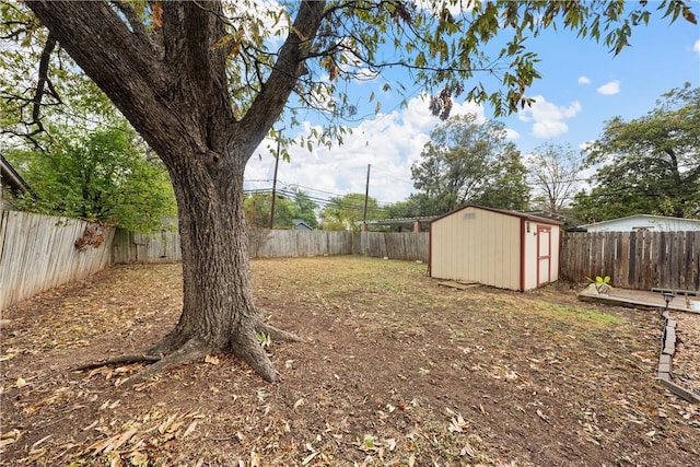 view of yard featuring a storage unit