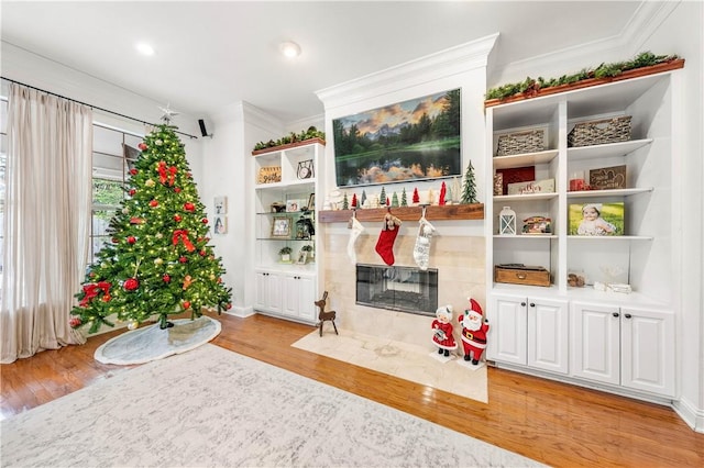 interior space featuring a fireplace, crown molding, and light hardwood / wood-style flooring