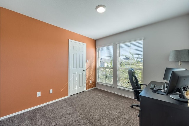 office area featuring carpet