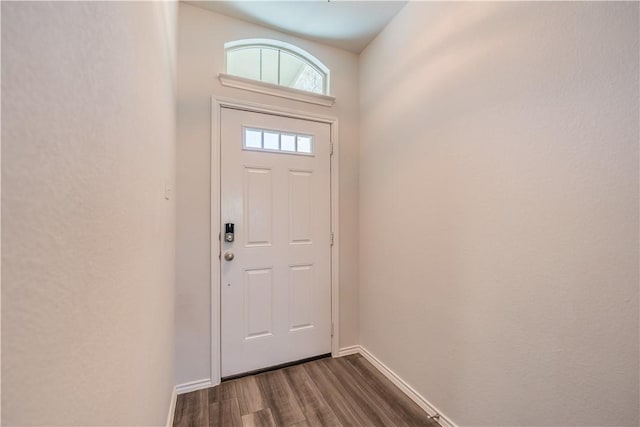 doorway with dark hardwood / wood-style flooring