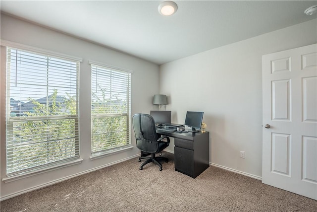 home office with light carpet