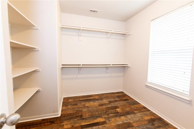 spacious closet with visible vents and dark wood-style flooring