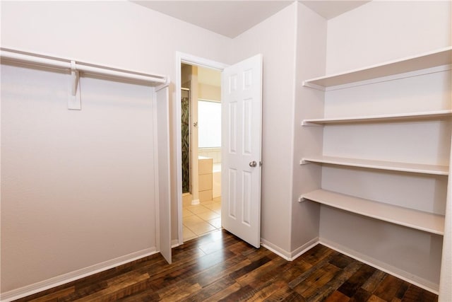 spacious closet featuring dark wood-type flooring