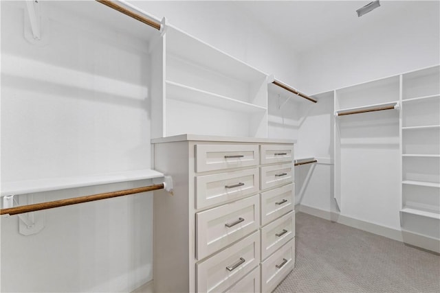 spacious closet with light colored carpet