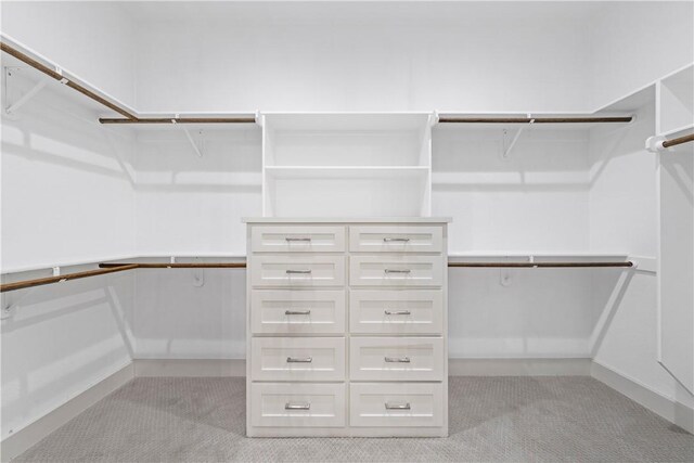 spacious closet featuring light colored carpet