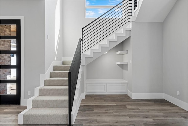 staircase featuring wood-type flooring