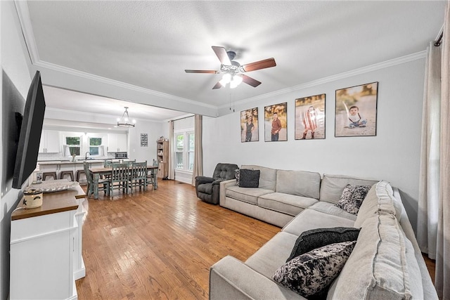 living room with ceiling fan with notable chandelier, light wood-type flooring, and crown molding