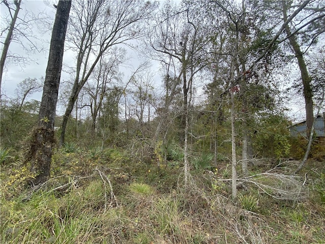 Listing photo 3 for 0000 Old Houston Rd, Conroe TX 77302