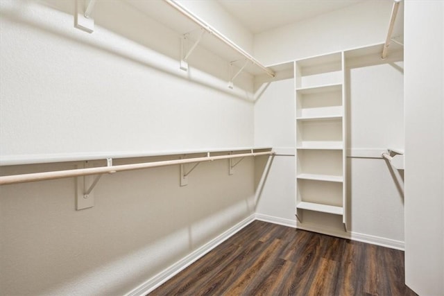 spacious closet with dark hardwood / wood-style flooring