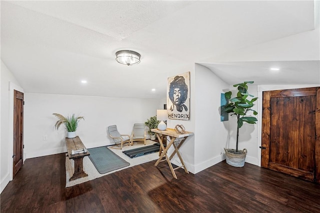 entryway with lofted ceiling and wood-type flooring