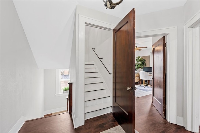 staircase featuring hardwood / wood-style floors