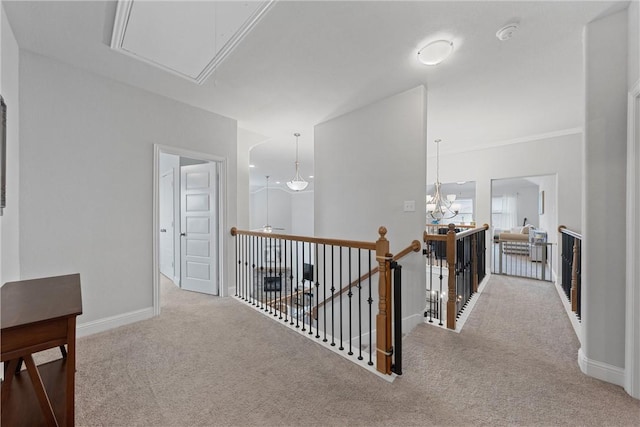 hallway with carpet floors