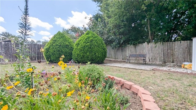 view of yard featuring a patio area