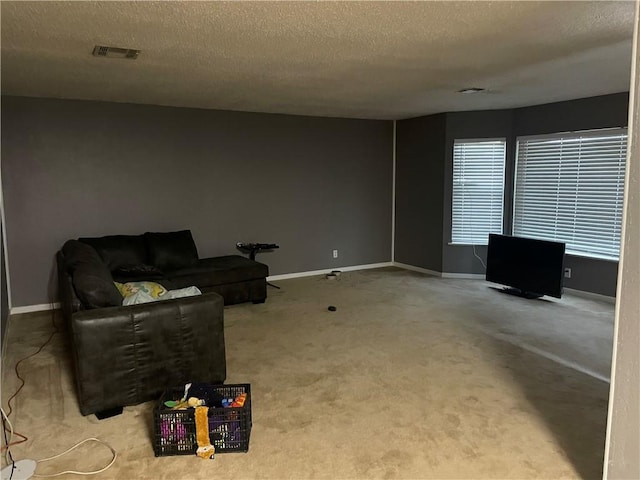 carpeted living room with a textured ceiling