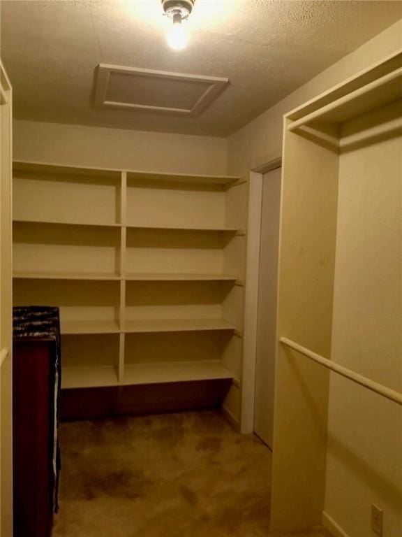 view of walk in closet