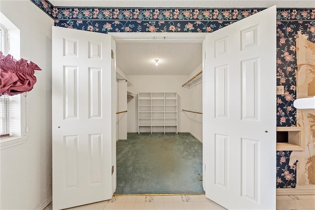 walk in closet with light carpet