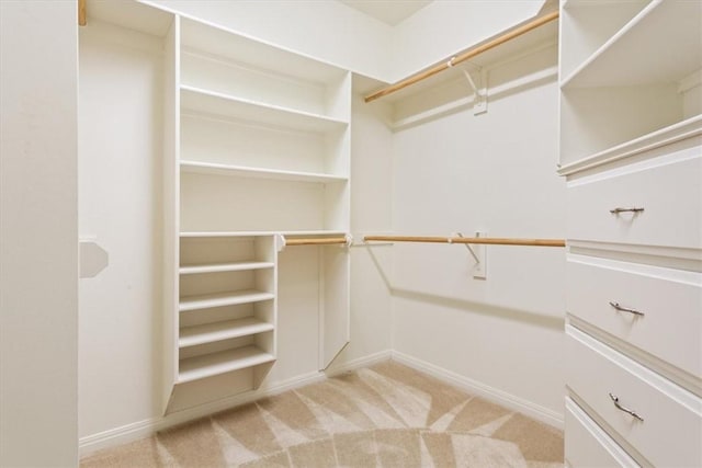 walk in closet featuring light colored carpet