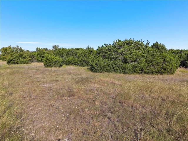 Listing photo 3 for TBD Cr 3570, China Spring TX 76633