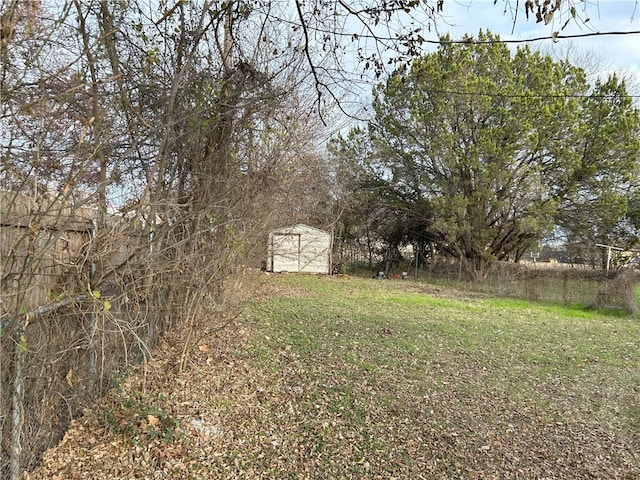 view of yard featuring a storage unit