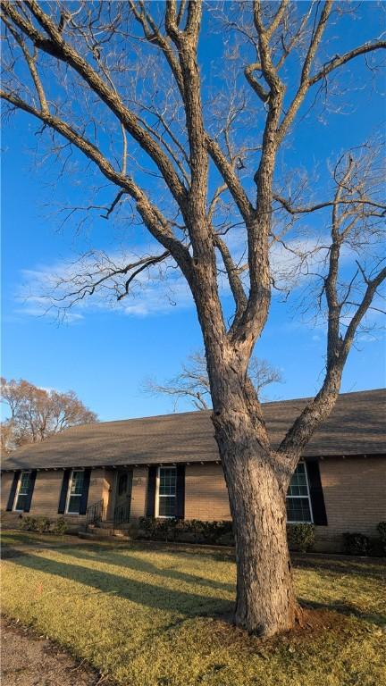 view of front facade featuring a front lawn