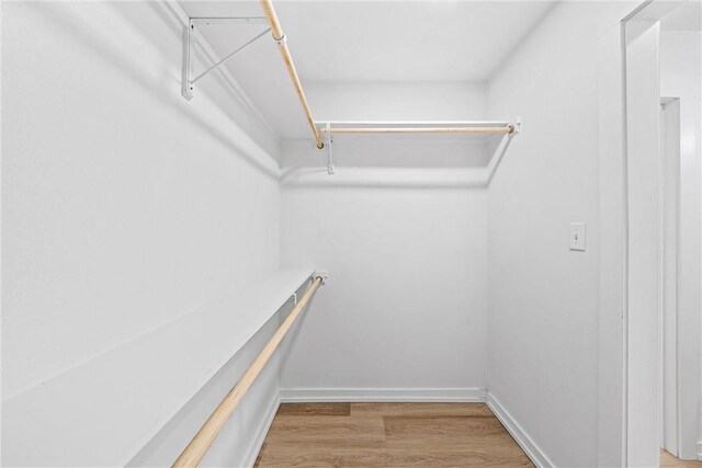 spacious closet featuring hardwood / wood-style flooring