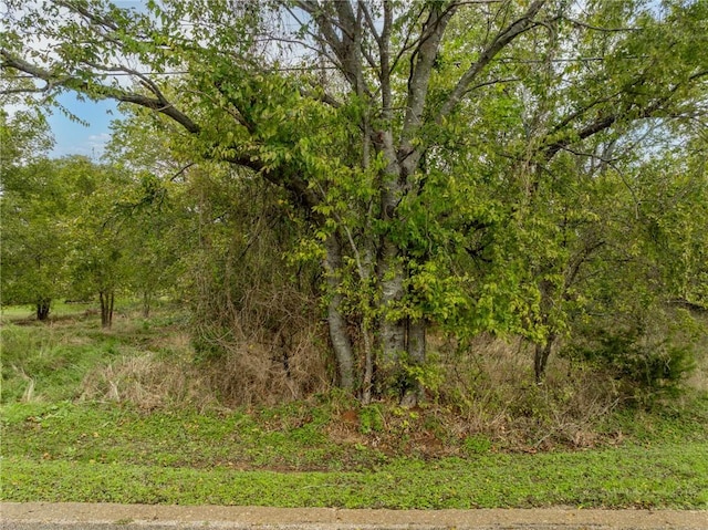 27070 Stonewood Dr, Whitney TX, 76692 land for sale