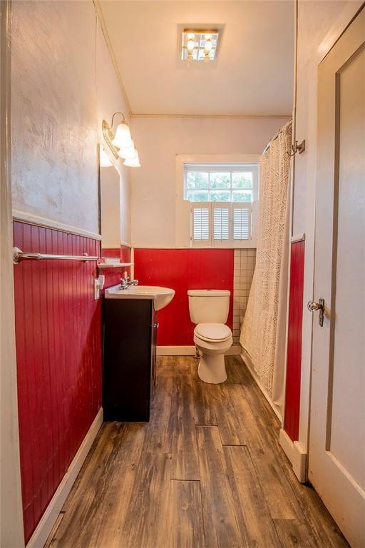 bathroom with vanity, wood-type flooring, and toilet