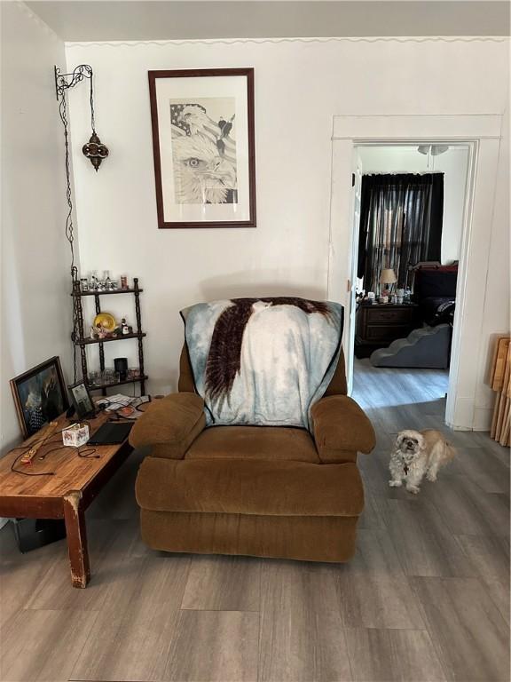 living room with wood-type flooring