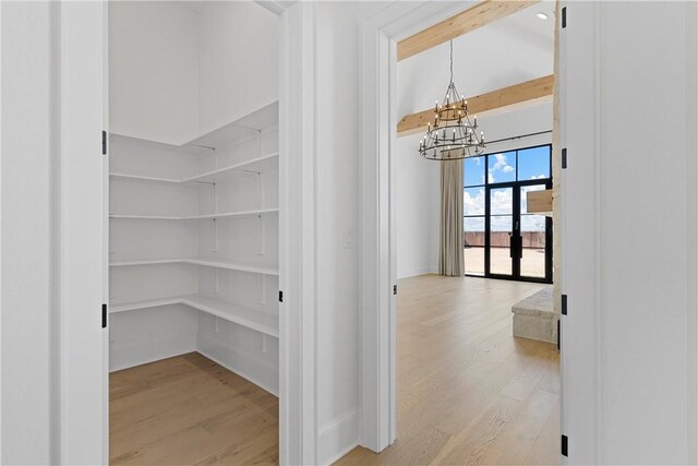 walk in closet with light hardwood / wood-style flooring