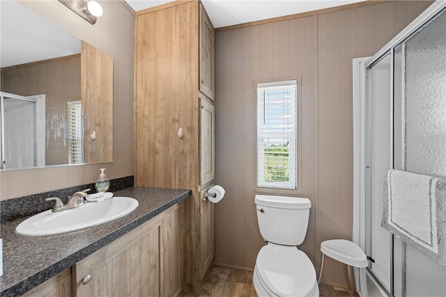 bathroom featuring a shower with door, vanity, and toilet