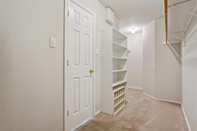 walk in closet with light carpet