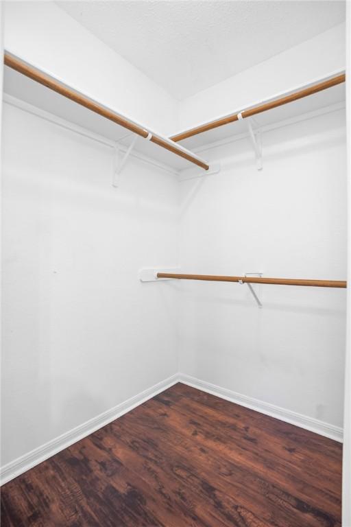 walk in closet with dark wood-type flooring