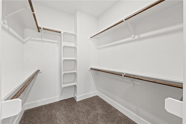 walk in closet with carpet floors