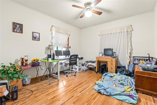 home office featuring light hardwood / wood-style floors and ceiling fan