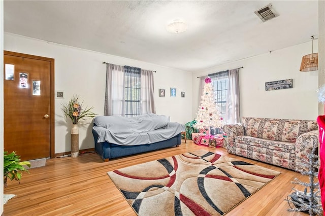 bedroom featuring multiple windows and wood-type flooring