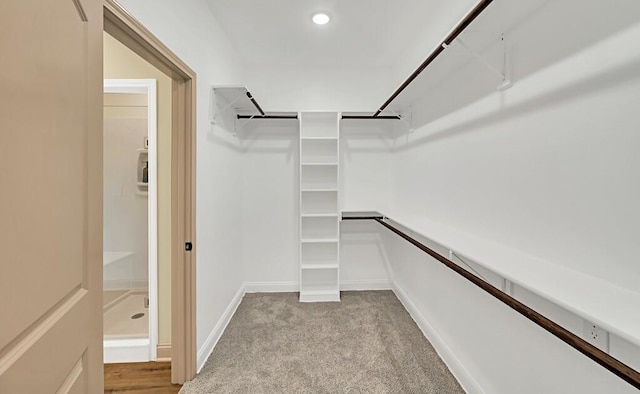 spacious closet featuring light colored carpet