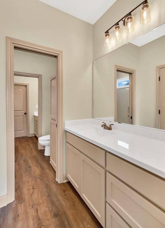 bathroom with vanity, wood-type flooring, and toilet