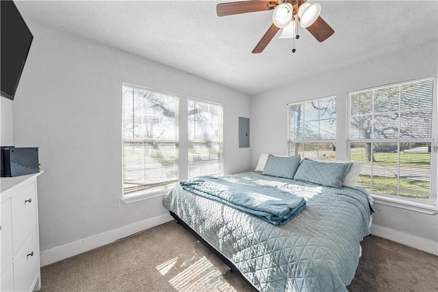 carpeted bedroom featuring a textured ceiling, electric panel, multiple windows, and ceiling fan