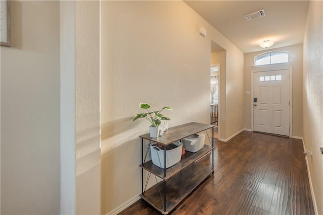 foyer with dark wood-type flooring