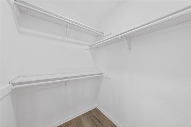 walk in closet featuring dark wood finished floors