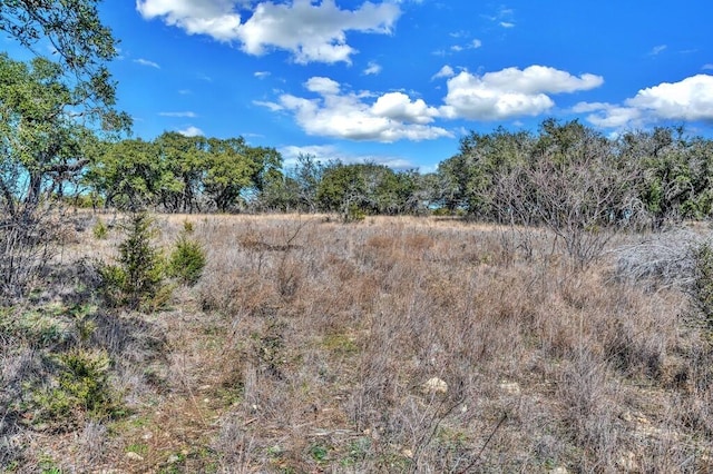 view of local wilderness with a rural view