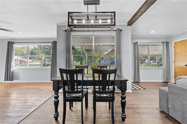 dining area with hardwood / wood-style flooring, ceiling fan, and crown molding