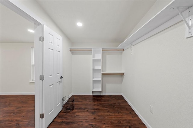 spacious closet with dark hardwood / wood-style floors